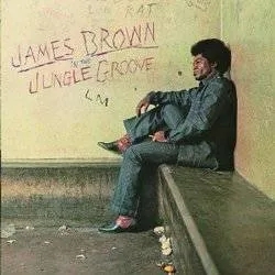 Album artwork for In The Jungle Groove by James Brown