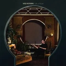 Album artwork for Life of Pause by Wild Nothing