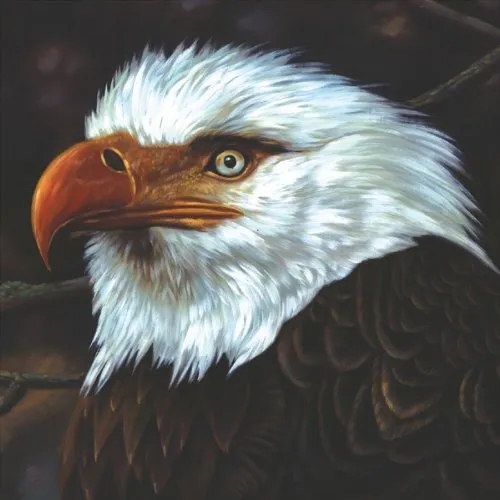 Album artwork for The Hawk is Howling by Mogwai