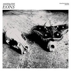 Album artwork for Eons by Mimicking Birds