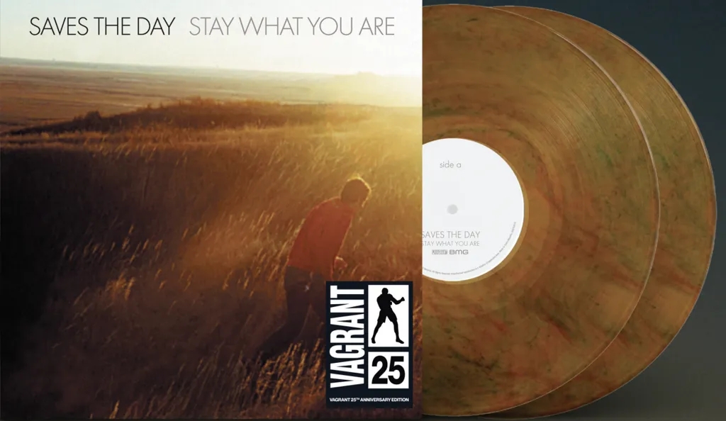 Album artwork for Stay What Your Are by Saves The Day