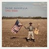 Album artwork for Dear America by Eric Bibb