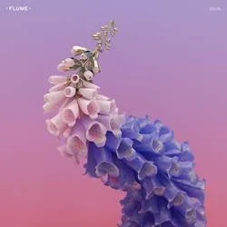 Album artwork for Skin by Flume