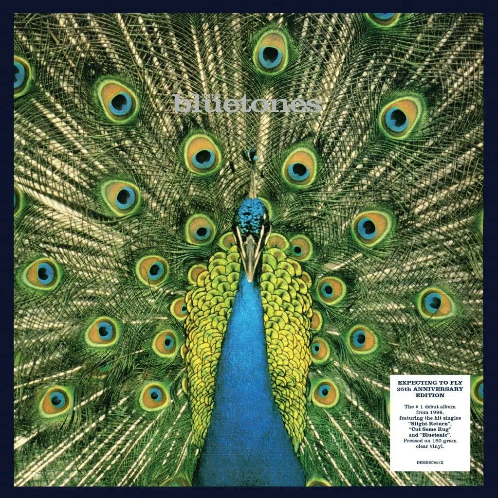 Album artwork for Expecting to Fly - 25th Anniversary Edition by The Bluetones