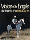 Album artwork for Voice Of The Eagle: The Enigma Of Robbie Basho by Robbie Basho