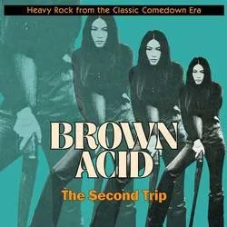 Album artwork for Brown Acid - The Second Trip by Various