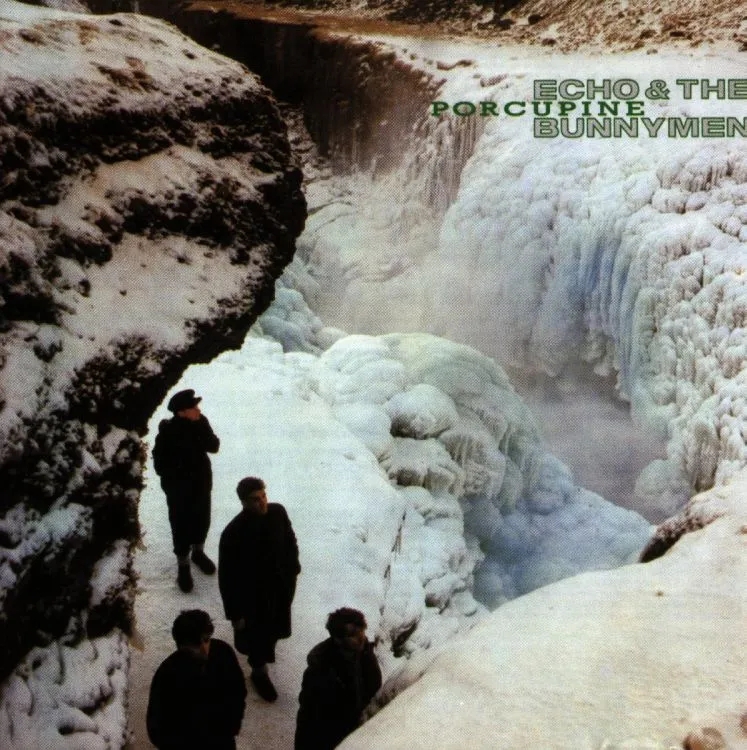 Album artwork for Porcupine by Echo and The Bunnymen