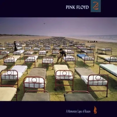 Album artwork for A Momentary Lapse of Reason by Pink Floyd