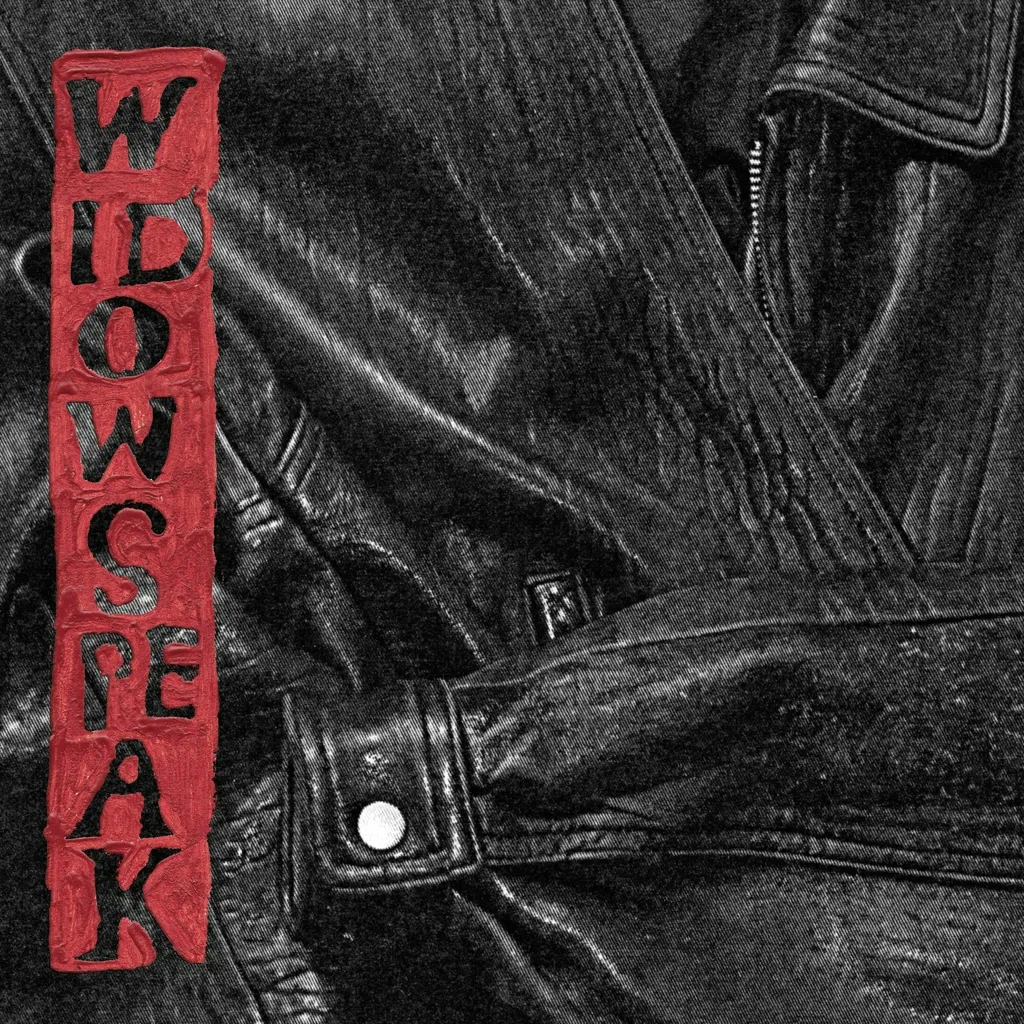 Album artwork for The Jacket by Widowspeak
