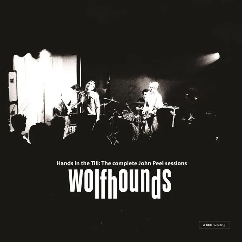 Album artwork for Hands In The Till: The Complete John Peel Sessions by The Wolfhounds