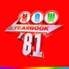 Album artwork for Now – Yearbook 1981 by Various