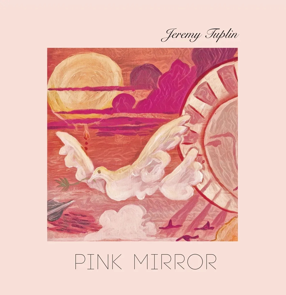Album artwork for Pink Mirror by Jeremy Tuplin