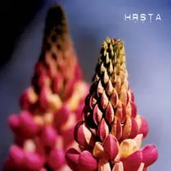 Album artwork for Ghosts Will Come and Kiss Our Eyes by Hrsta