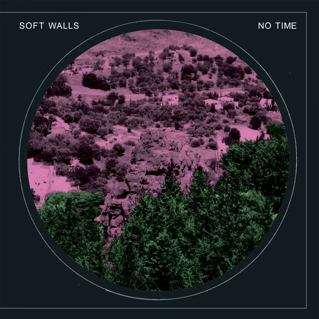 Album artwork for No Time by The Soft Walls