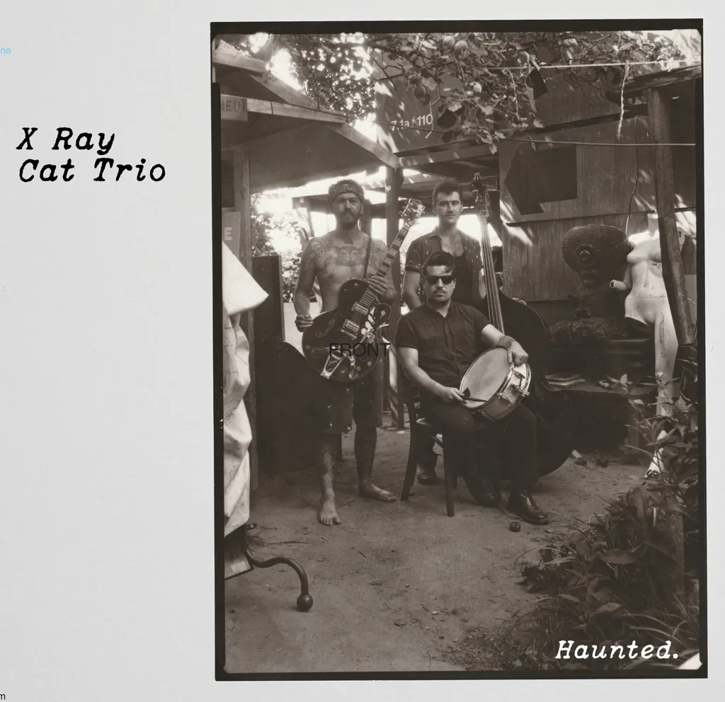 Album artwork for Haunted by X Ray Cat Trio