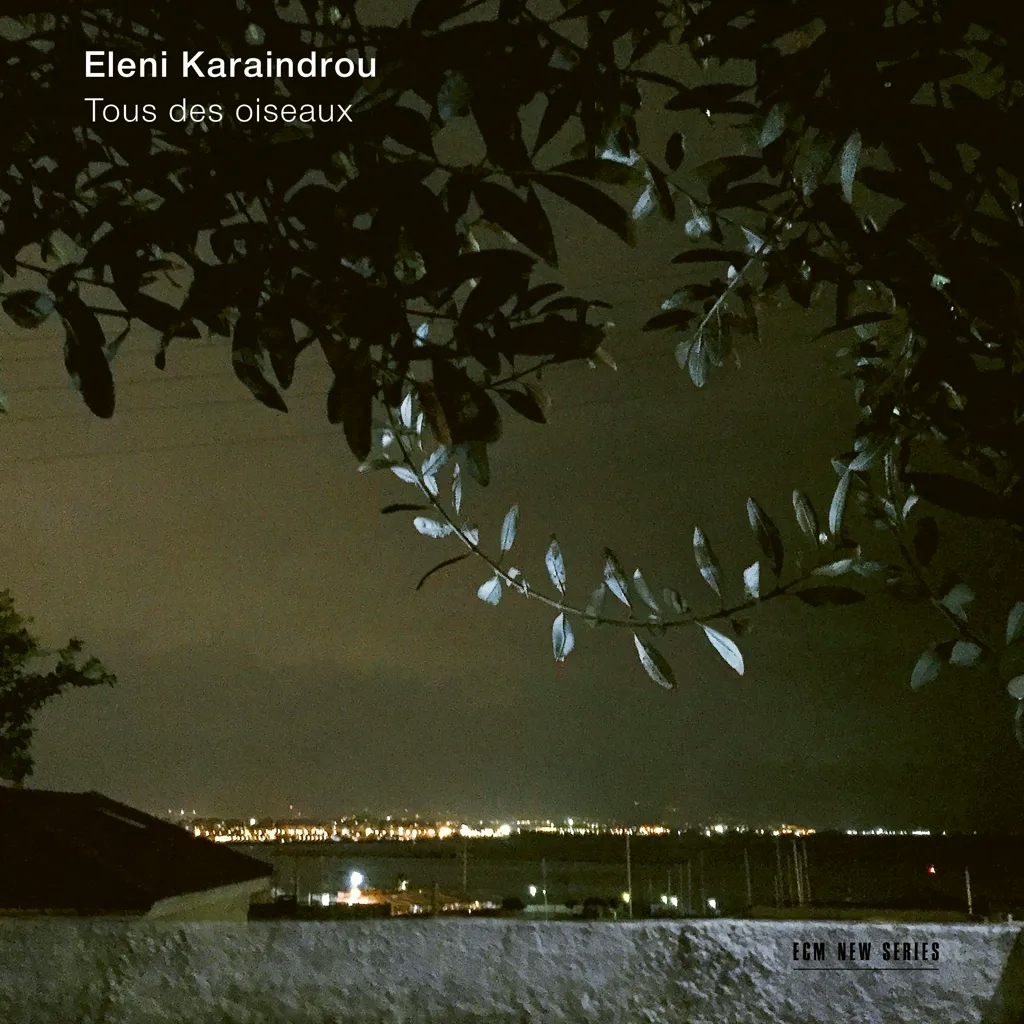 Album artwork for Tous Des Oiseaux by Eleni Karaindrou