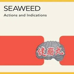 Album artwork for Action And Indications by Seaweed