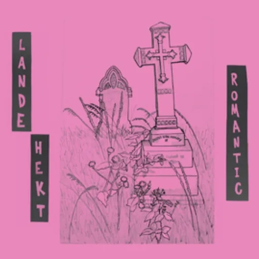 Album artwork for Romantic / Octopussy by Lande Hekt