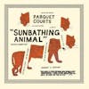 Album artwork for Sunbathing Animal + Content Nausea by Parquet Courts