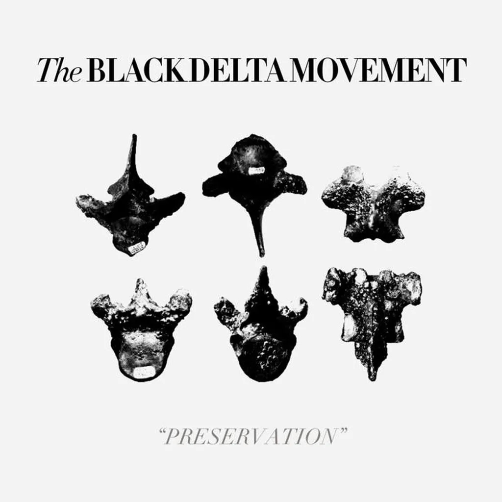 Album artwork for Preservation by The Black Delta Movement