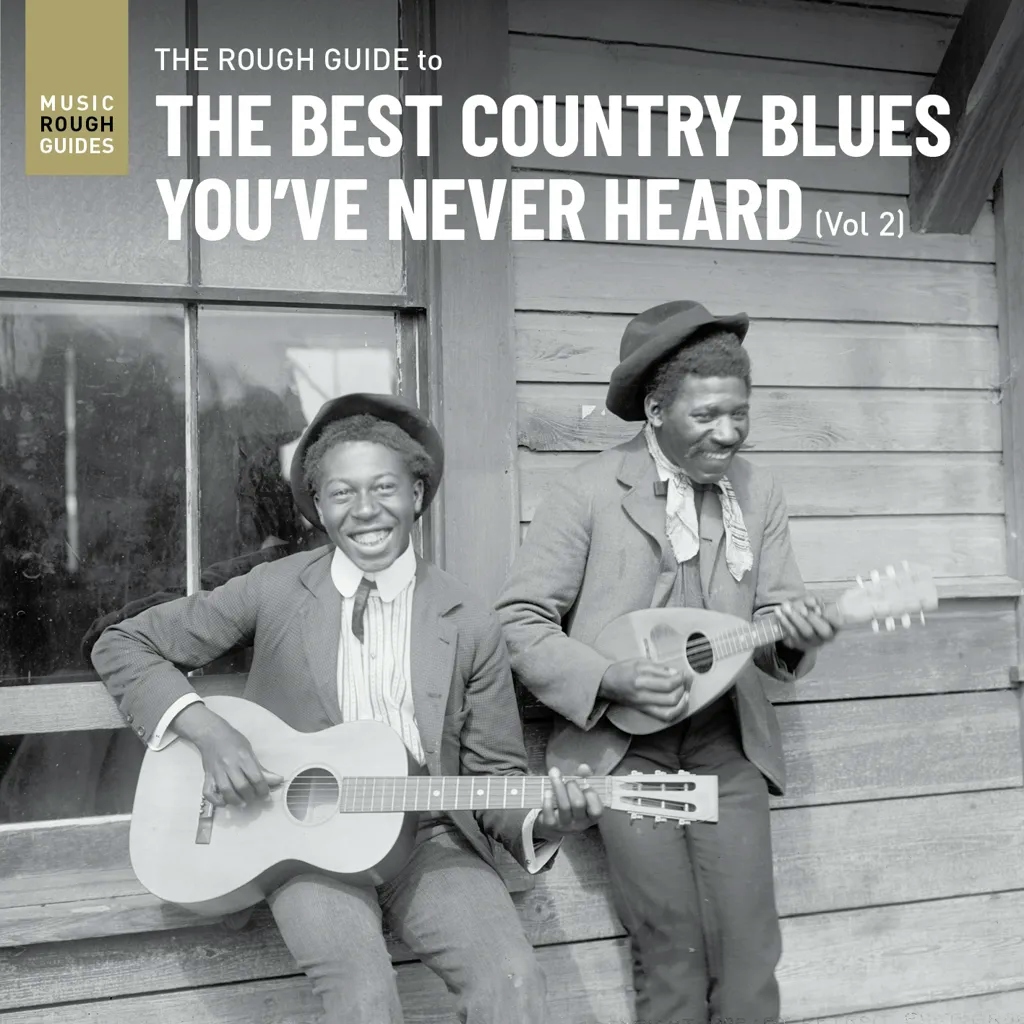 Album artwork for The Rough Guide to the Best Country Blues You've Never Heard (Vol. 2) by Various