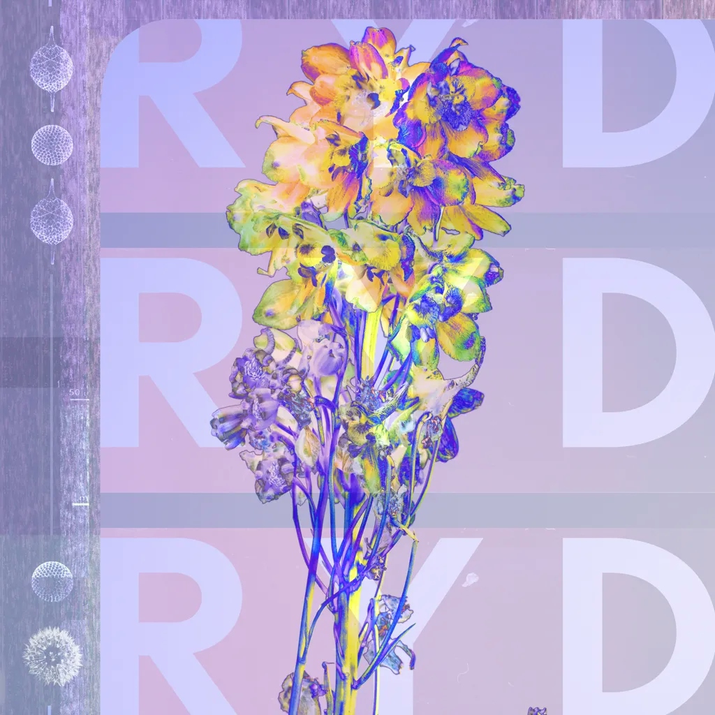 Album artwork for RYD by RYD