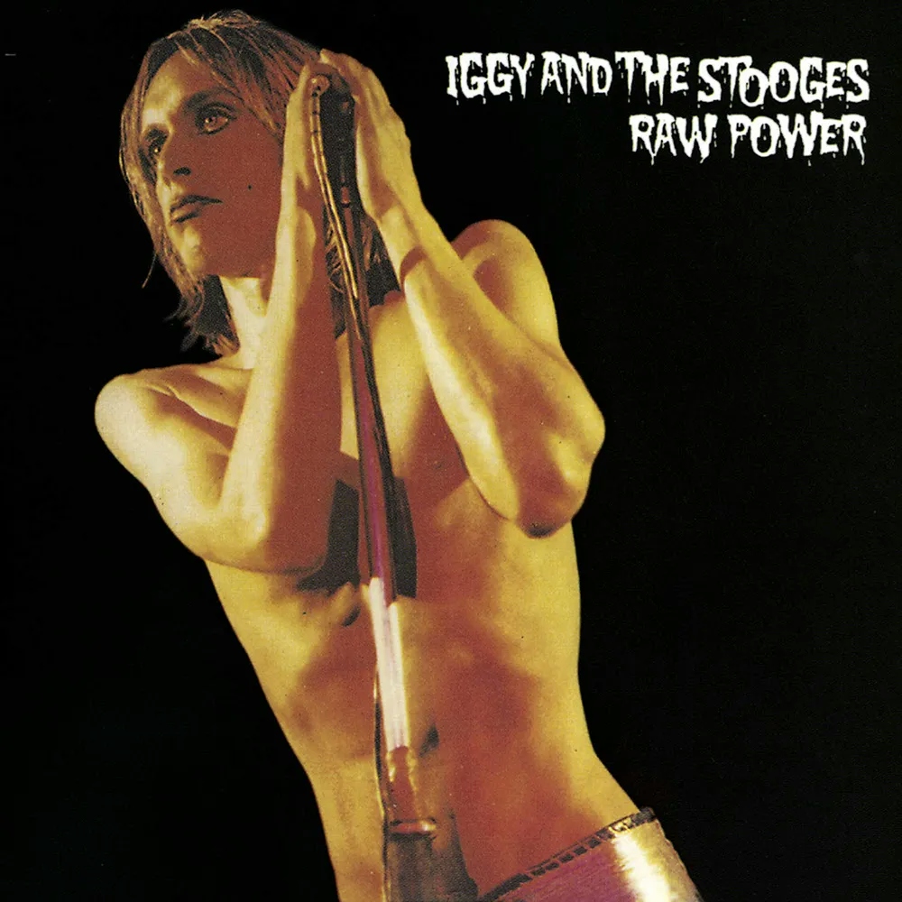 Album artwork for Raw Power by The Stooges