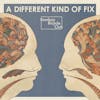 Album artwork for Different Kind of Fix by Bombay Bicycle Club