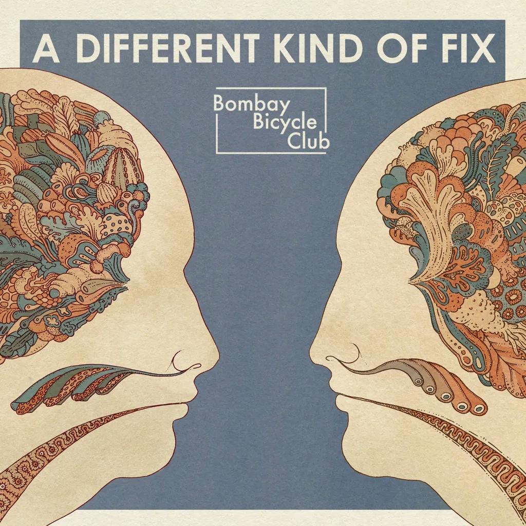 Album artwork for Different Kind of Fix by Bombay Bicycle Club