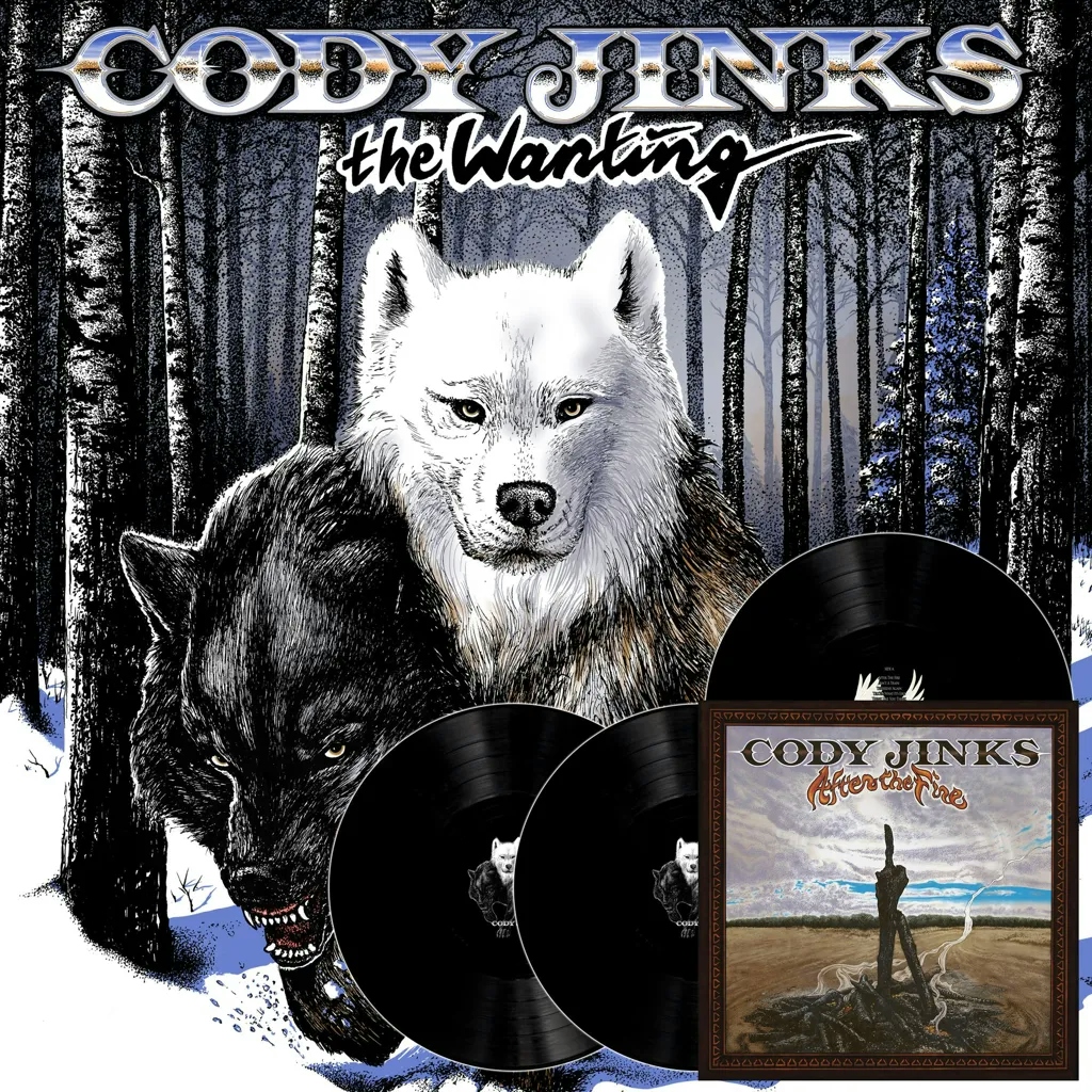 Album artwork for After The Fire | The Wanting by Cody Jinks