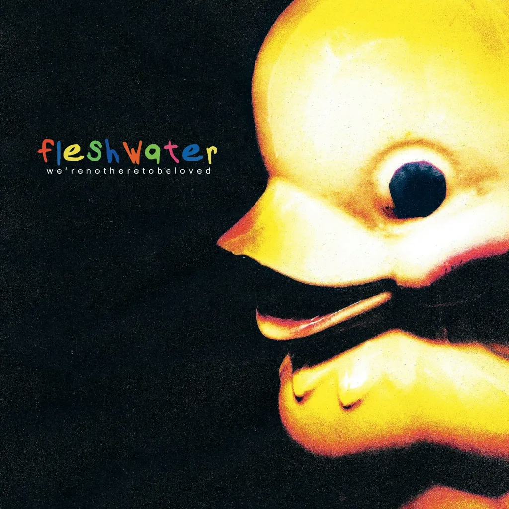 Album artwork for We're Not Here To Be Loved by Fleshwater