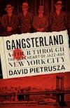 Album artwork for Gangsterland: A Tour Through the Dark Heart of Jazz-Age New York City by David Pietrusza