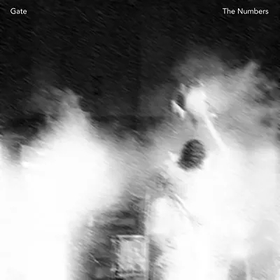Album artwork for The Numbers by Gate