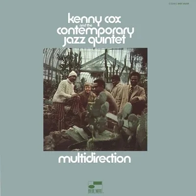 Album artwork for Multidirection by Kenny Cox