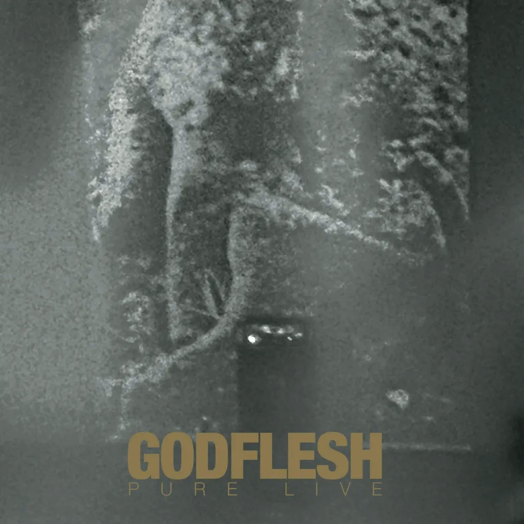 Album artwork for Pure Live  by Godflesh
