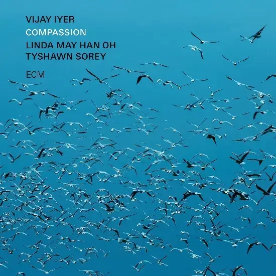 Album artwork for Compassion by Vijay Iyer, Linda May Han Oh, Tyshawn Sorey