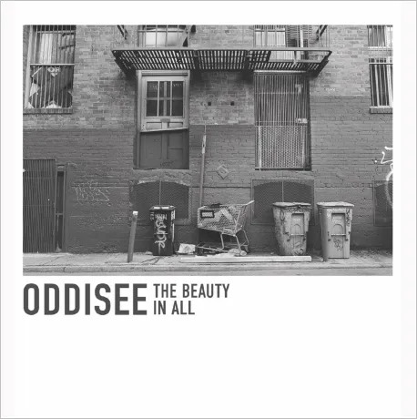 Album artwork for The Beauty In All by Oddisee