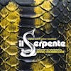 Album artwork for Il Serpente by Ennio Morricone