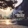 Album artwork for Wilderness America, A Celebration Of The Land by Various Artists