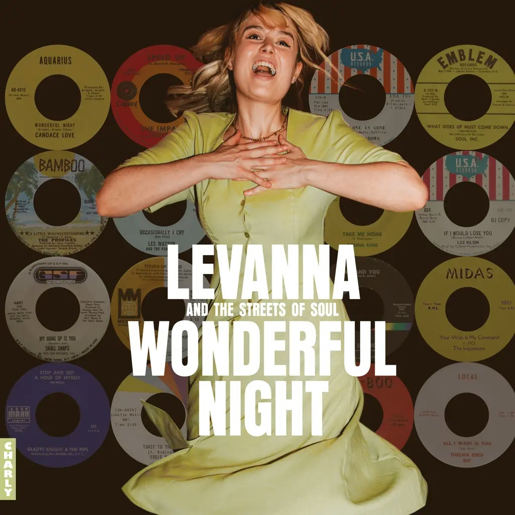 Album artwork for Wonderful Night - Curated and Choreographed by Levanna by Various