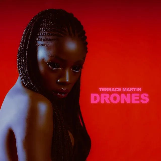 Album artwork for DRONES by Terrace Martin