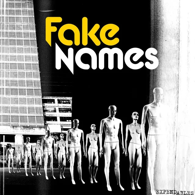 Album artwork for Expendables by Fake Names