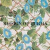 Album artwork for Vs. The Standard Edition by Mission Of Burma