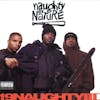 Album artwork for 19 Naughty III by Naughty By Nature
