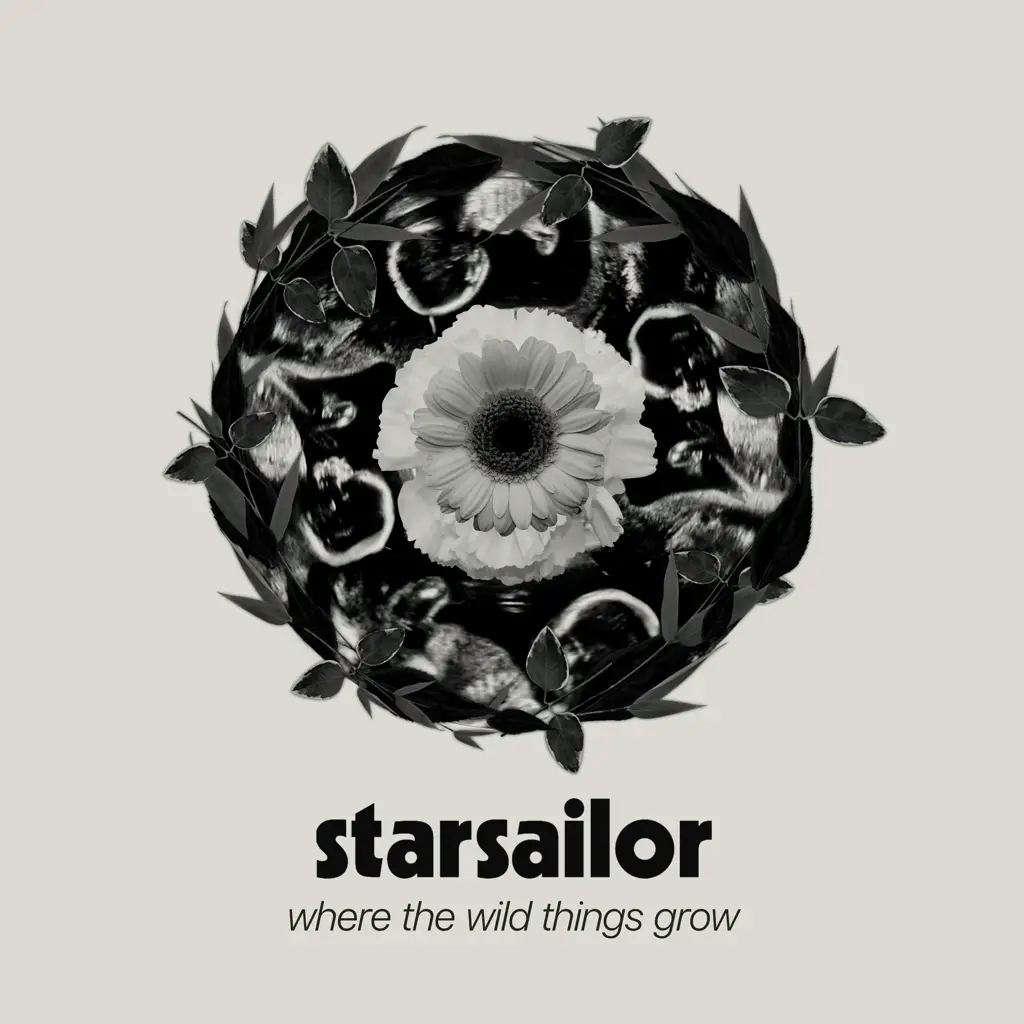 Album artwork for Where The Wild Things Grow by Starsailor