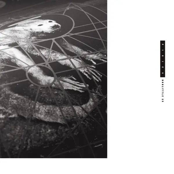 Album artwork for Doolittle 25 by Pixies