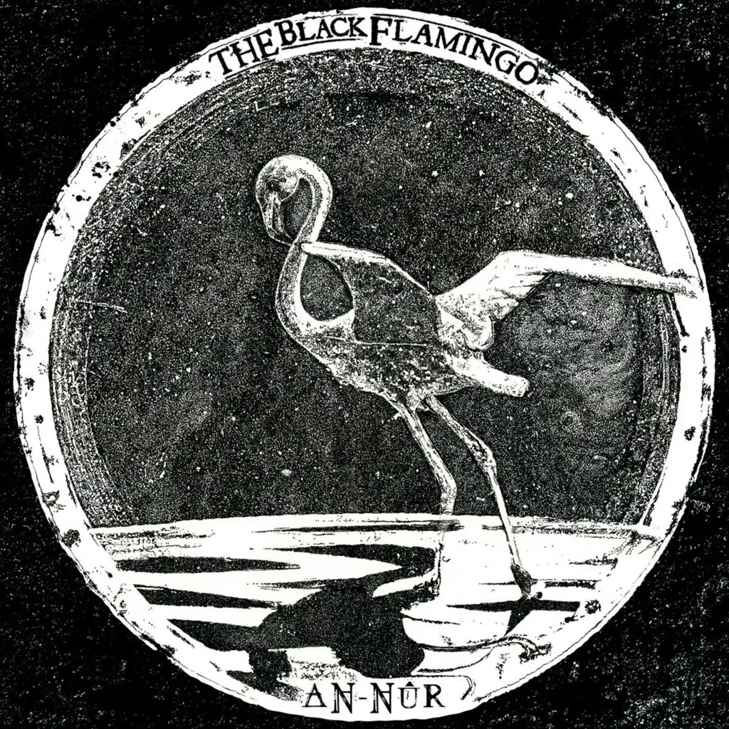 Album artwork for An-Nur by The Black Flamingo