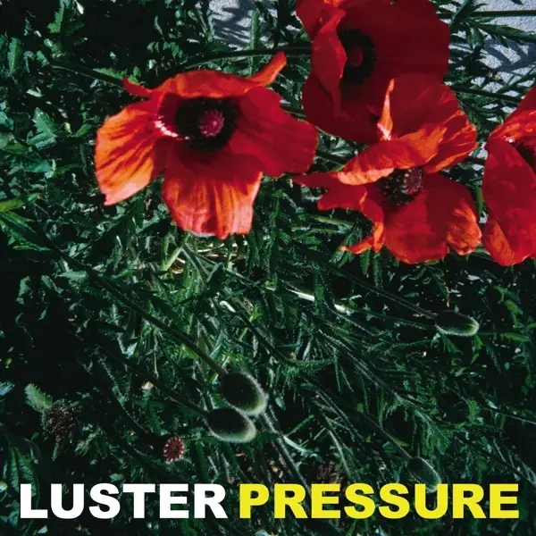 Album artwork for Pressure by Luster