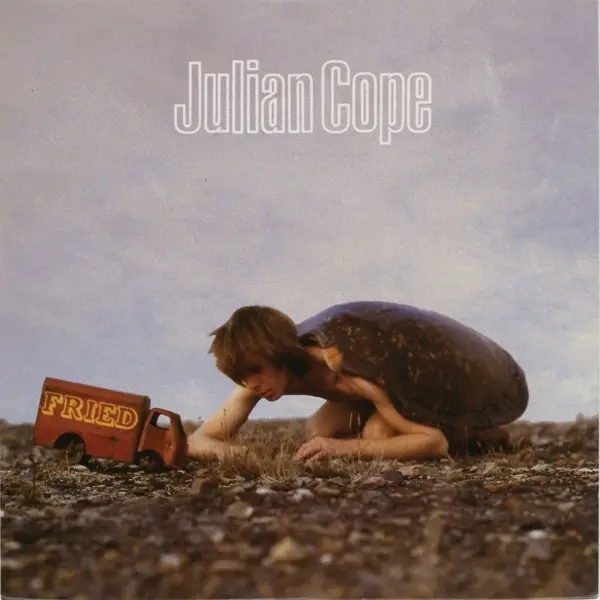 Album artwork for Fried by Julian Cope