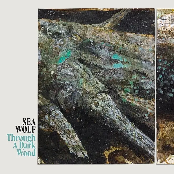 Album artwork for Through A Dark Wood by Sea Wolf